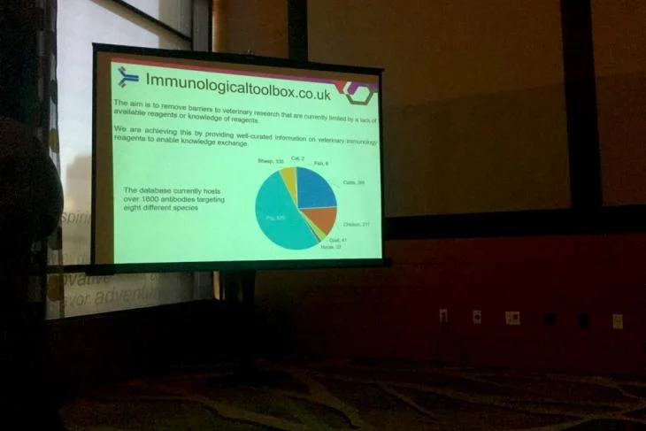 picture of a slideshow